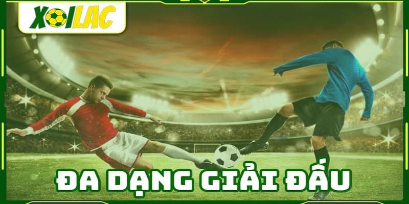 Xôi lạc TV Lợi ích khi sử dụng Xôi lạc TV cho người yêu bóng đá