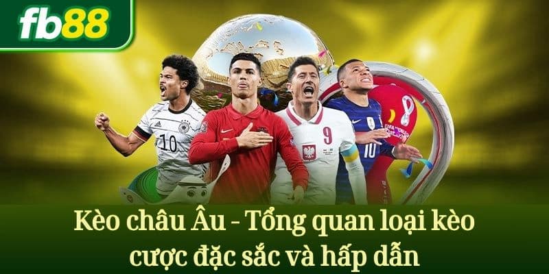Fb88 Tại sao nên chọn fb88 làm điểm đến cá cược?